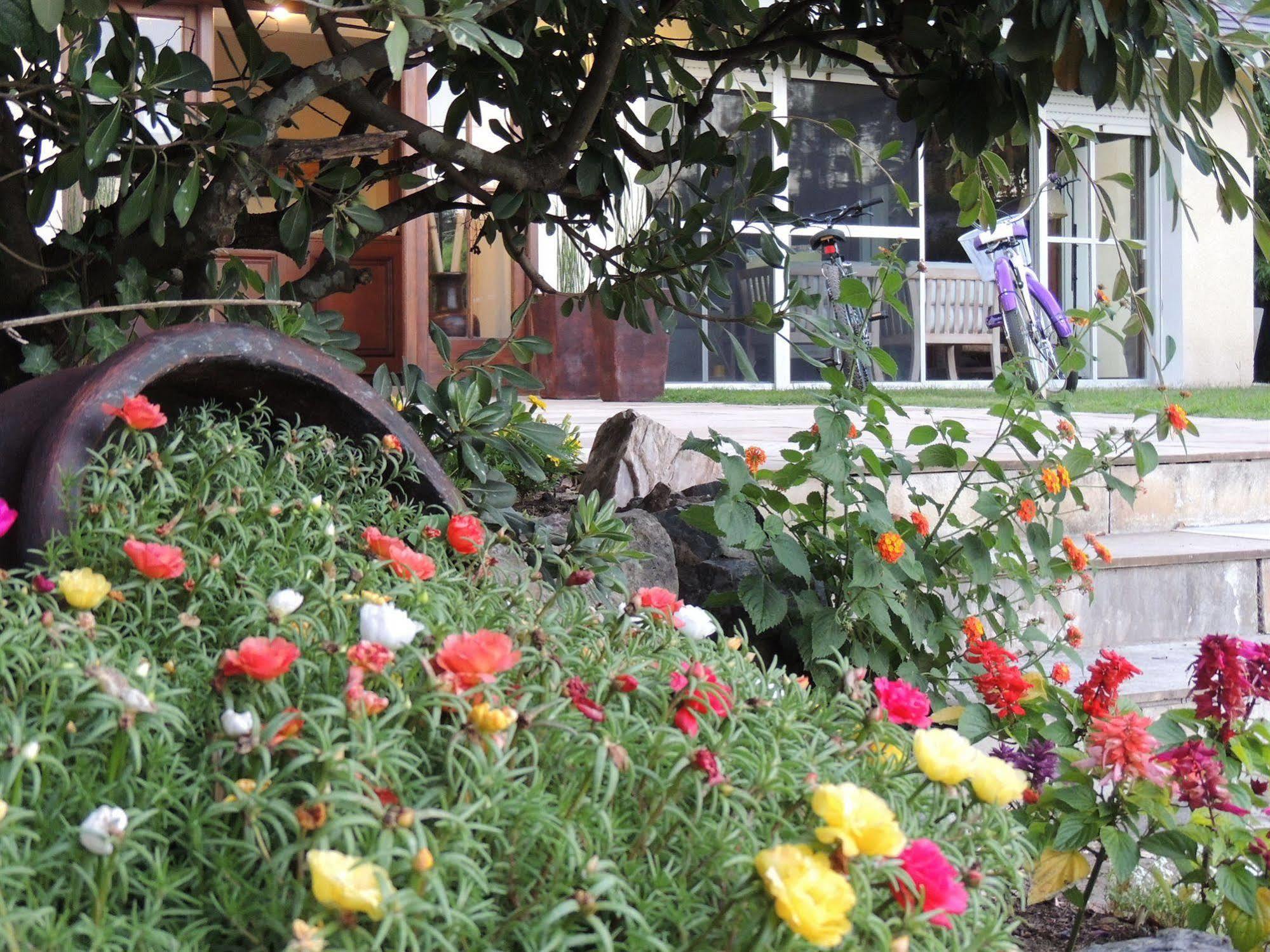 Petit Chateau Hotel Boutique Punta del Este Kültér fotó